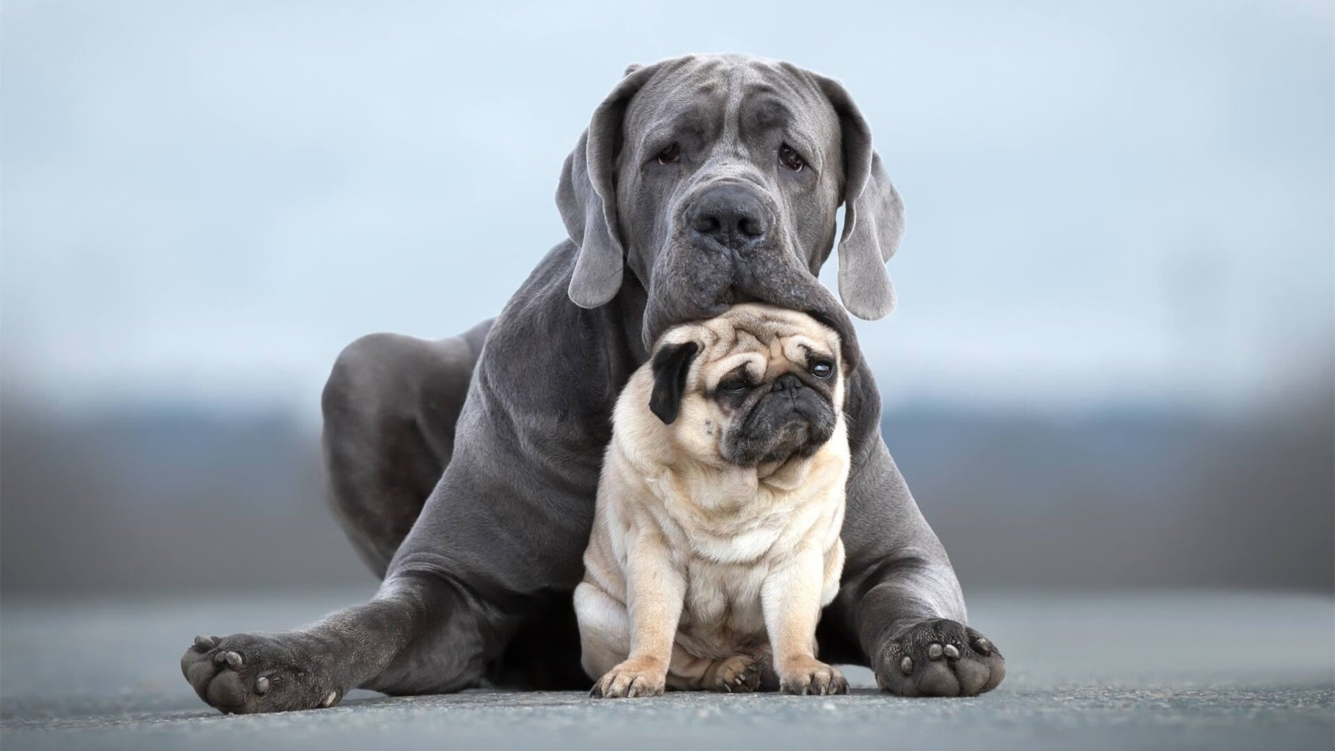 爱游戏品牌互动-西甲焦点战：皇马客场逆转巴萨，争冠悬念重燃，西甲30轮皇马对巴萨