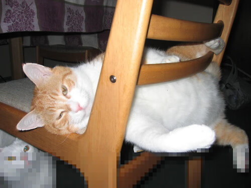 爱游戏智能体验-青少年足球文化走进社区生活，营造全民足球氛围，青少年足球推广方案