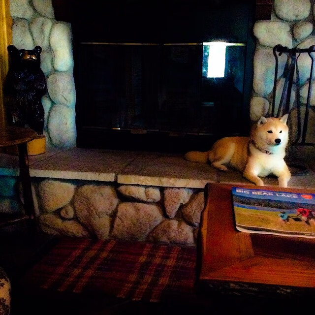 全国青少年登山赛贵州赛段精彩刺激，青年登山活动