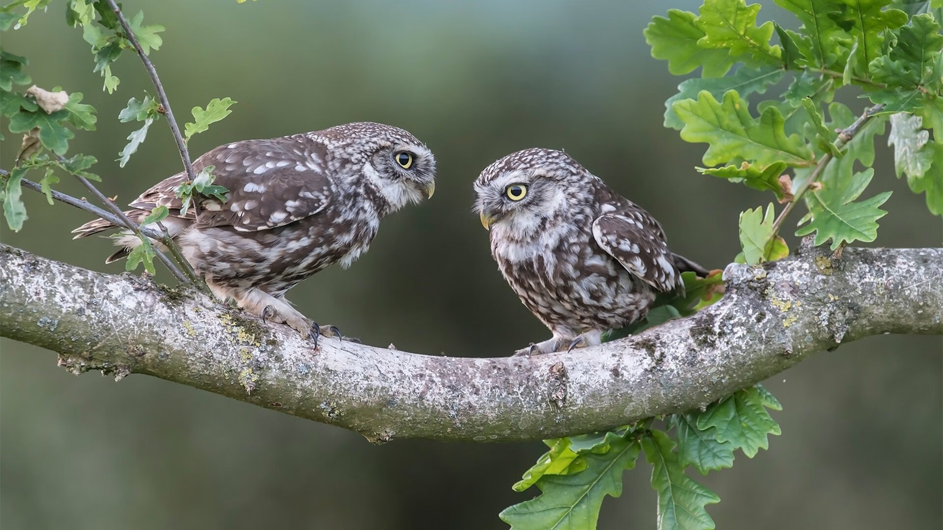 俱乐部管理制度改革推进缓慢，俱乐部管理制度文案